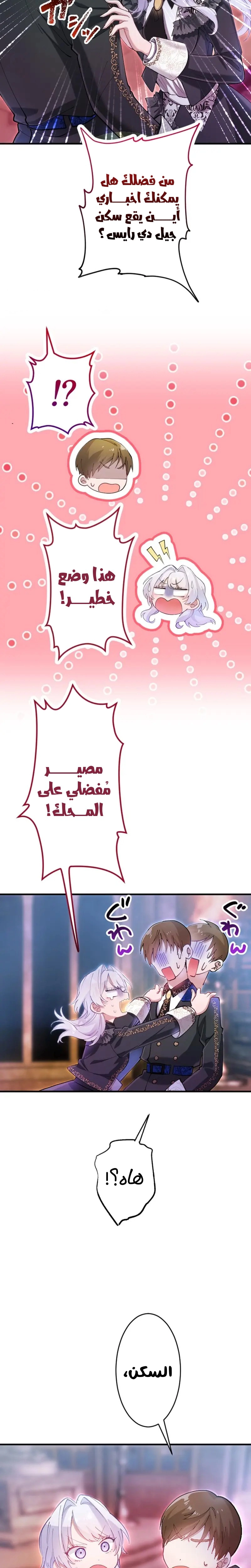 الصفحة 12