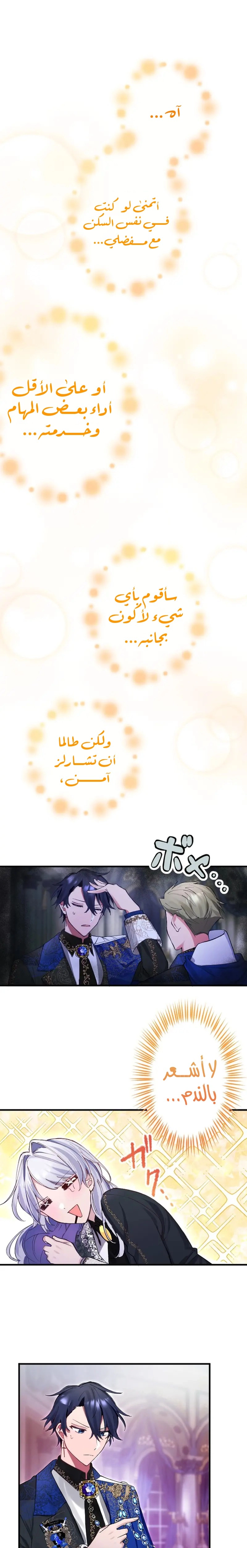 الصفحة 24