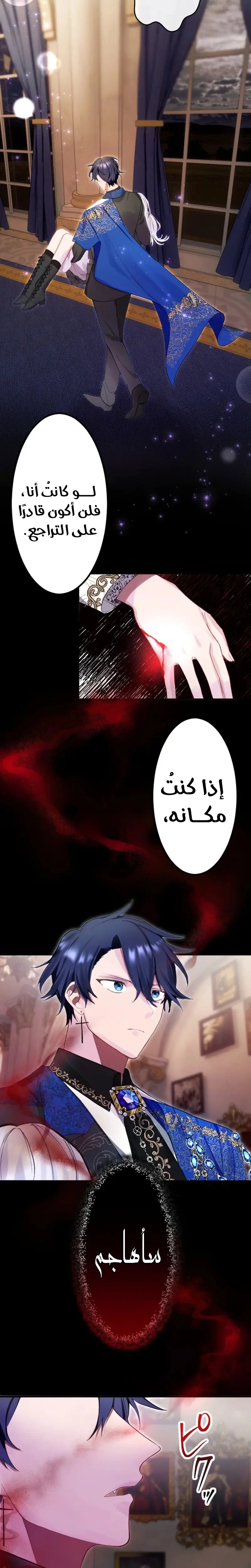 الصفحة 29