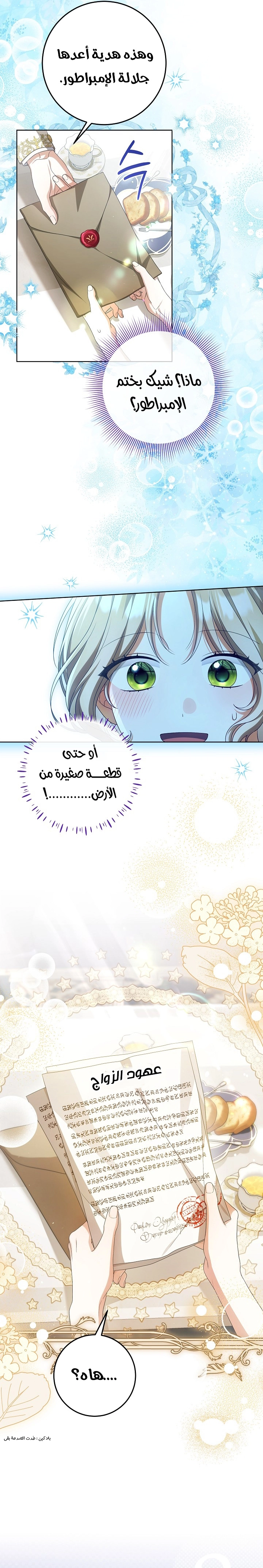 الصفحة 14