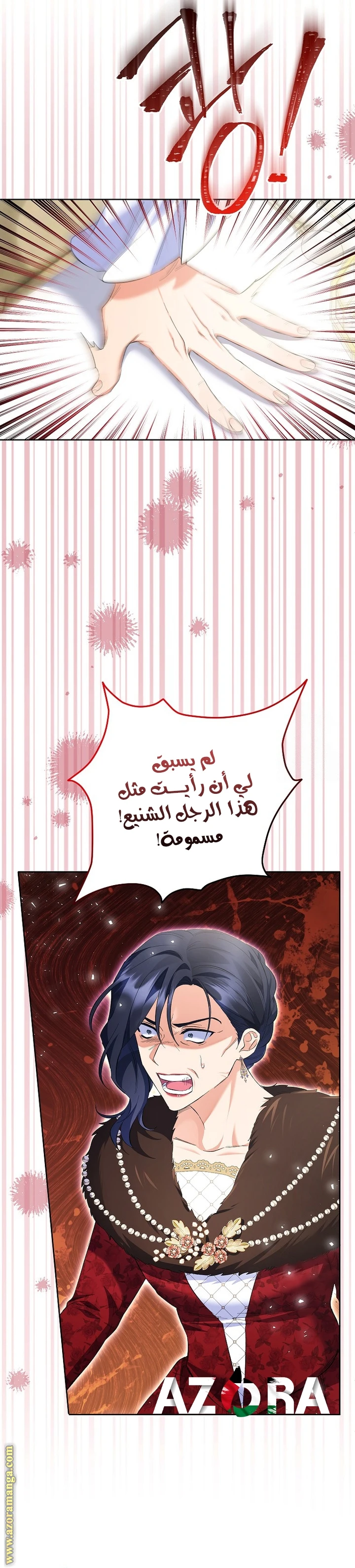 الصفحة 17