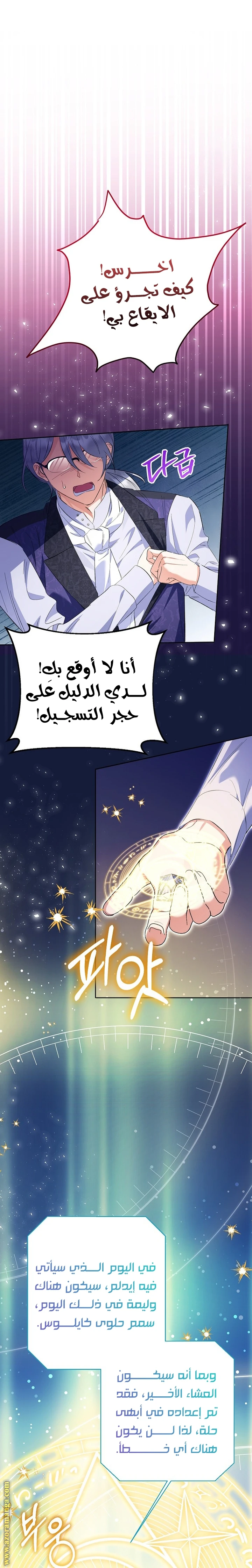 الصفحة 21