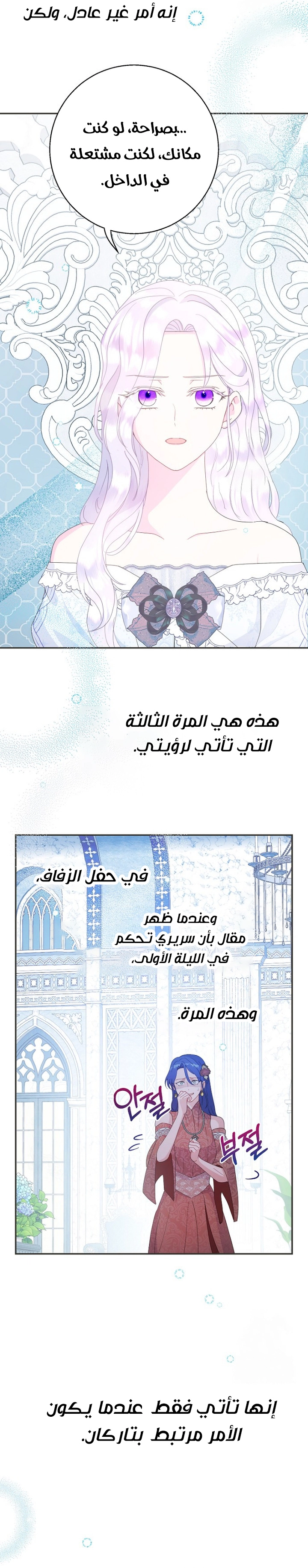 الصفحة 17