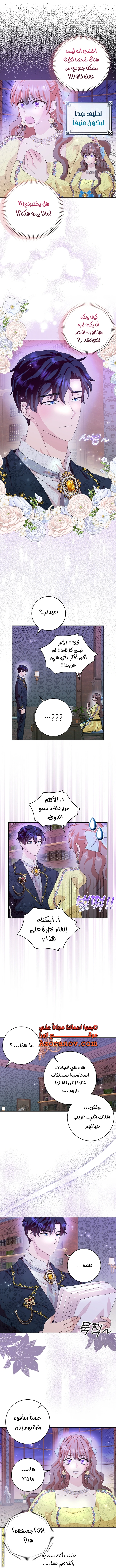 الصفحة 19