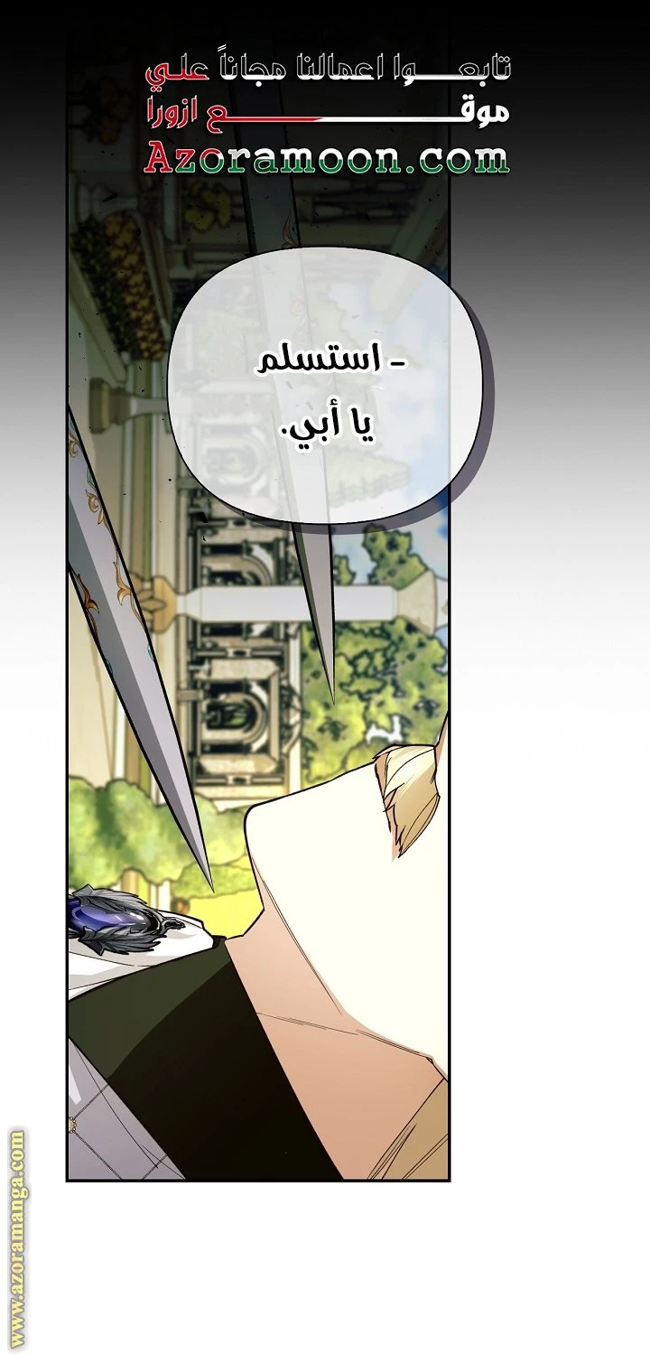 الصفحة 25