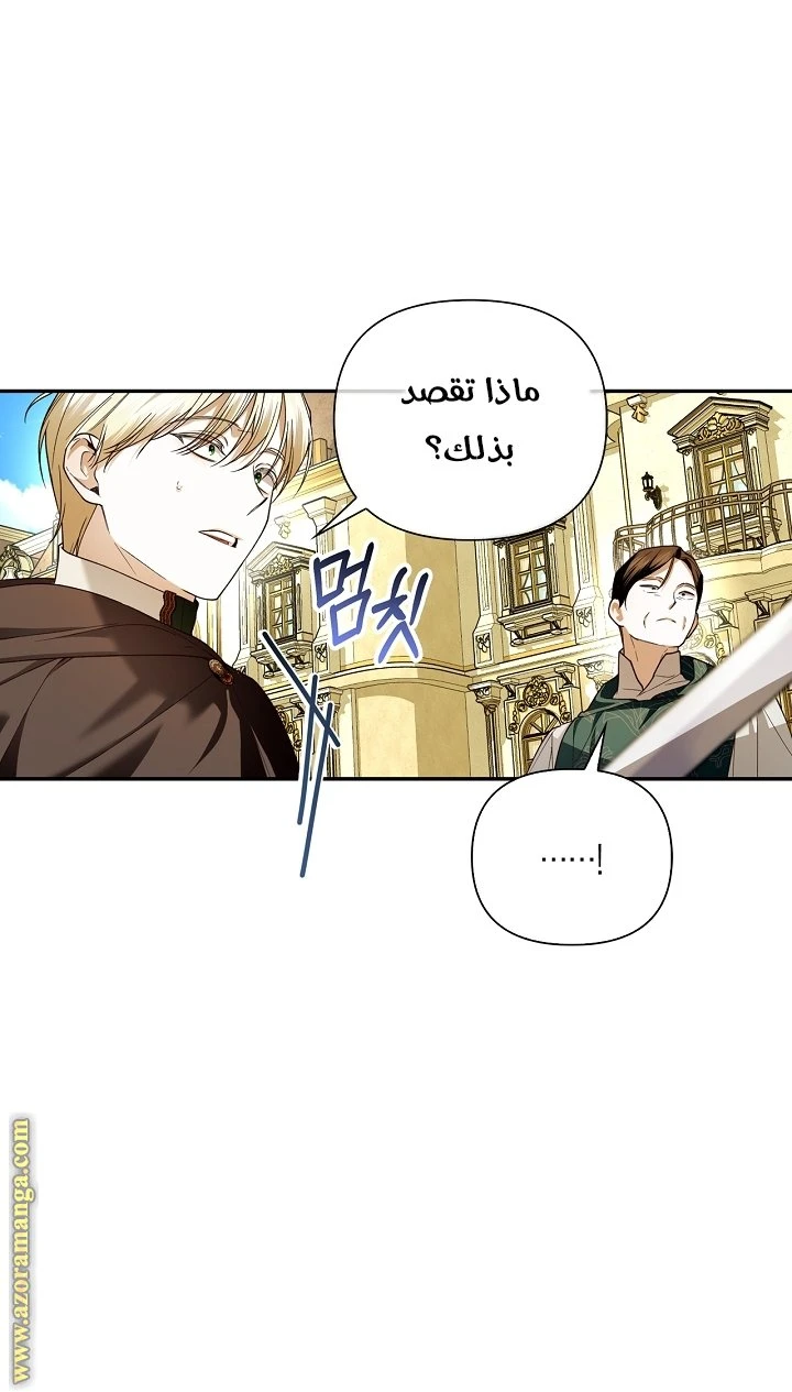الصفحة 29