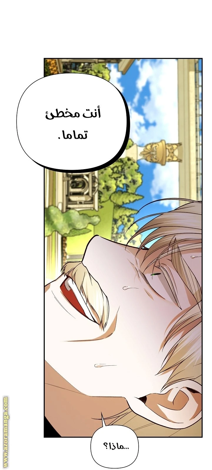 الصفحة 31