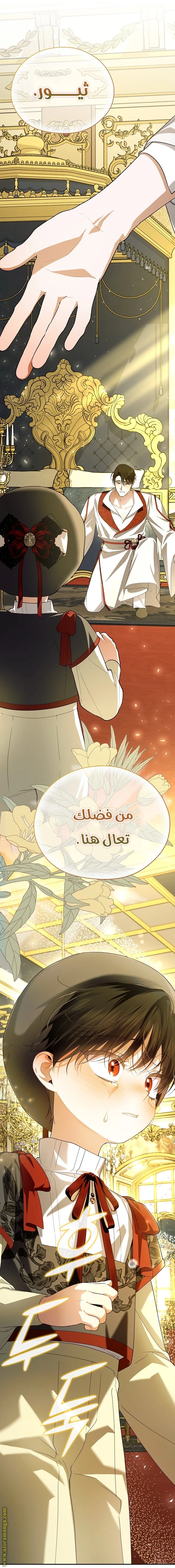 الصفحة 52