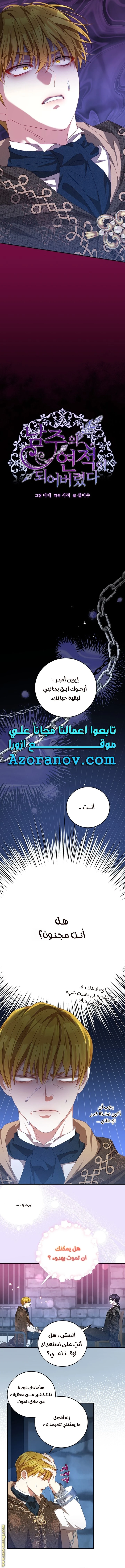 الصفحة 3