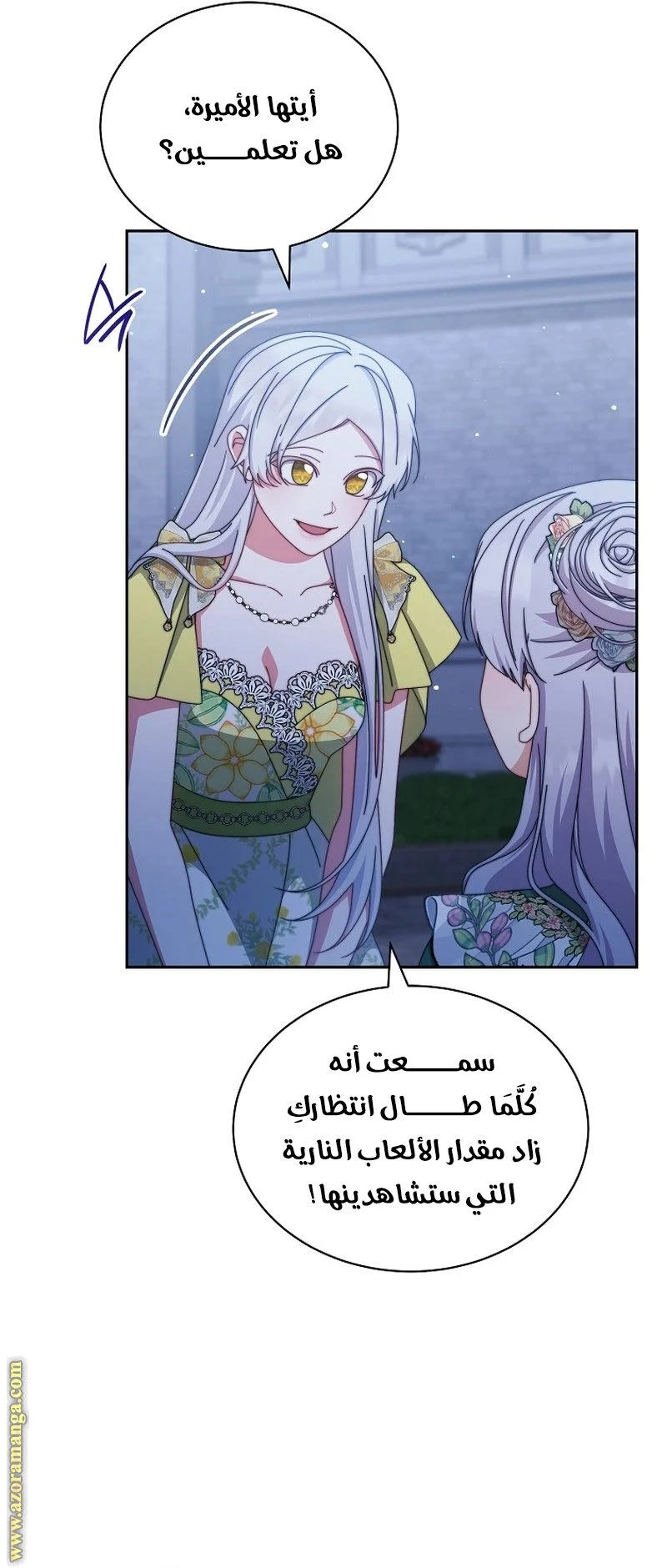 الصفحة 13