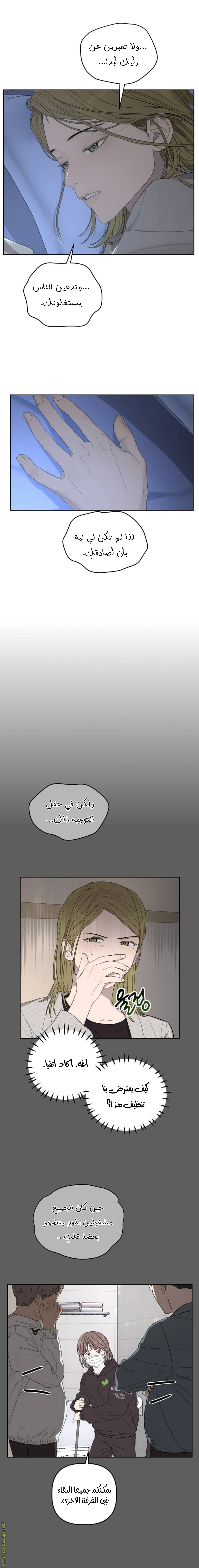 الصفحة 17