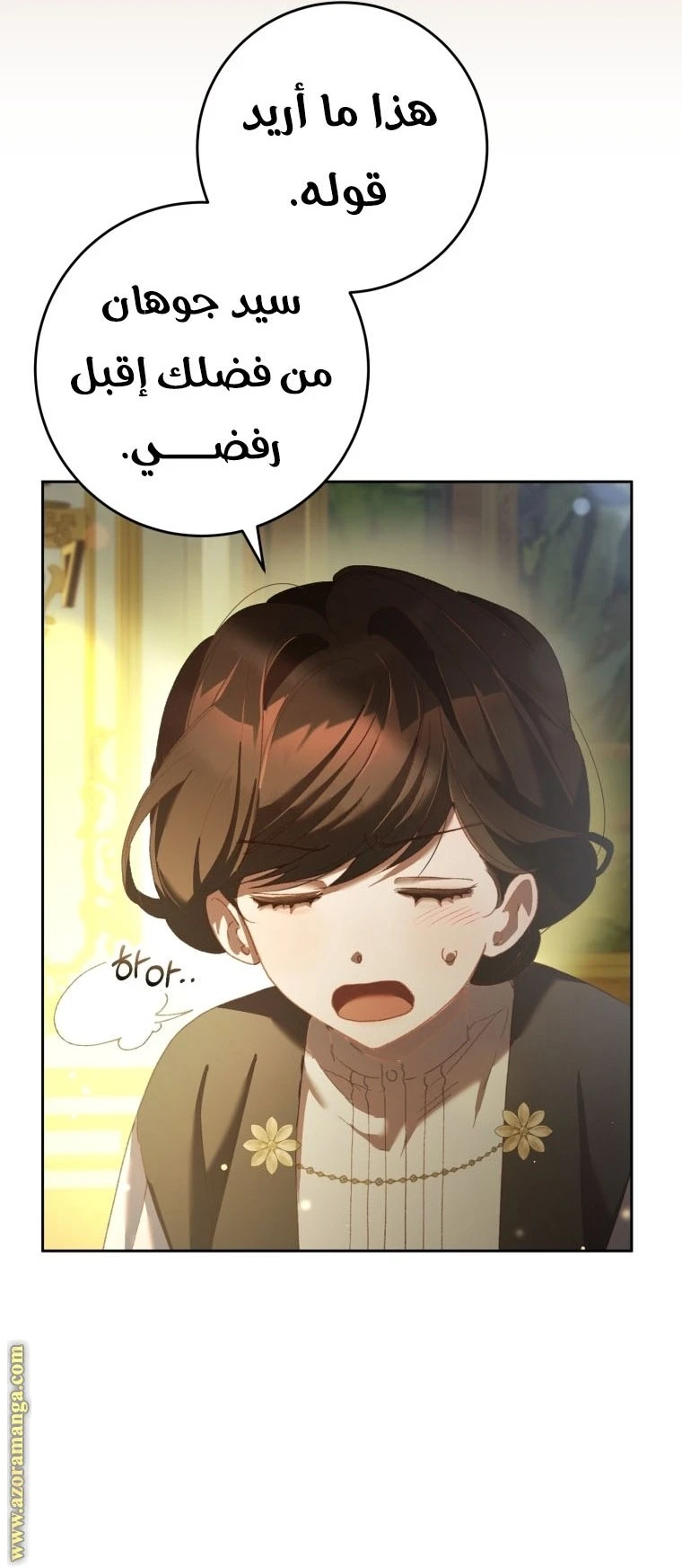 الصفحة 14