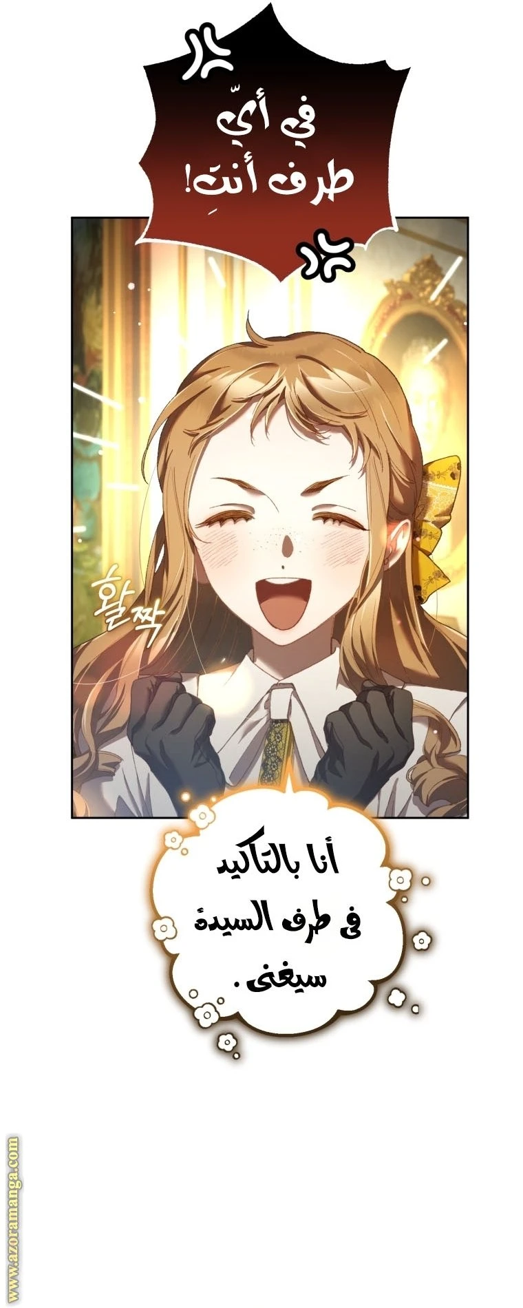 الصفحة 17