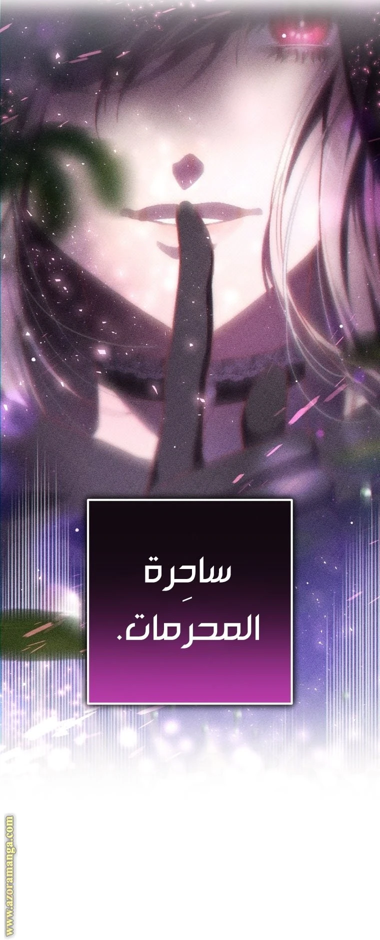 الصفحة 24