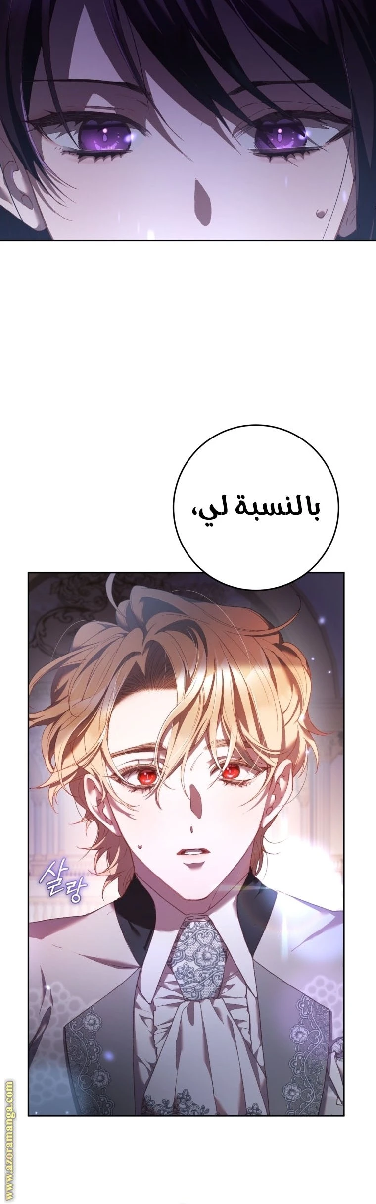 الصفحة 52