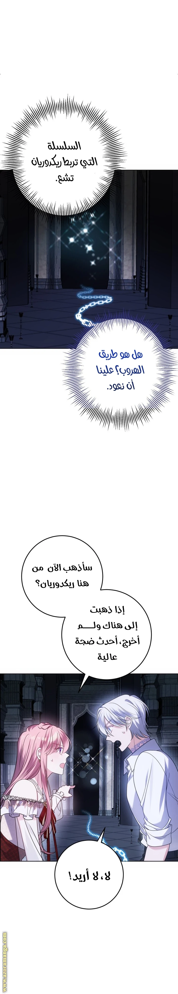الصفحة 17