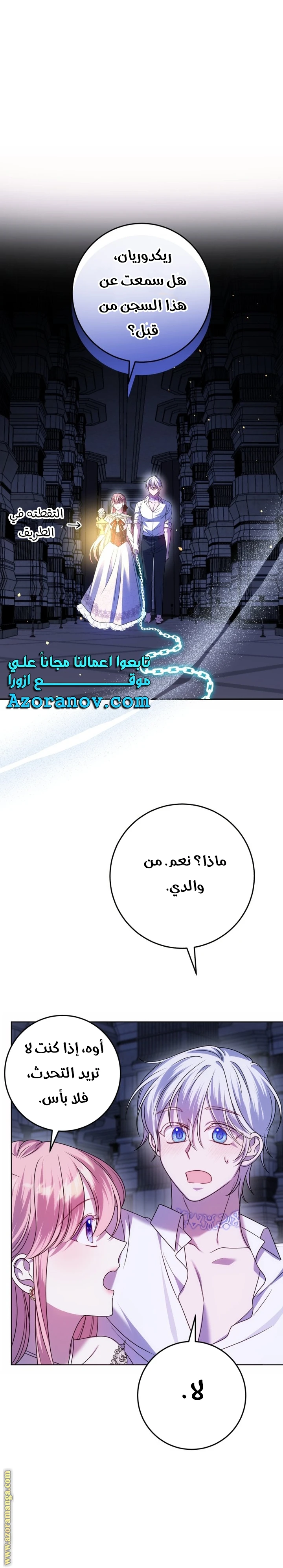 الصفحة 21