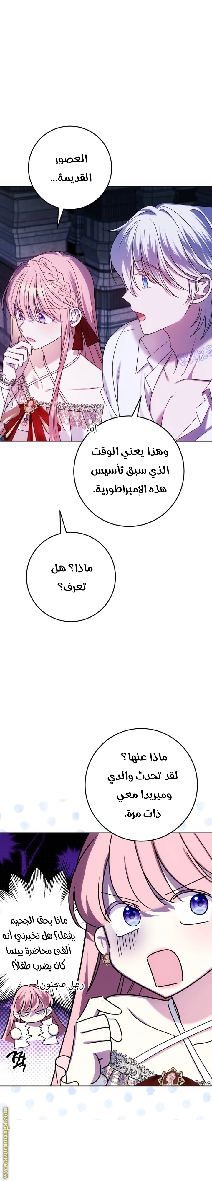 الصفحة 24