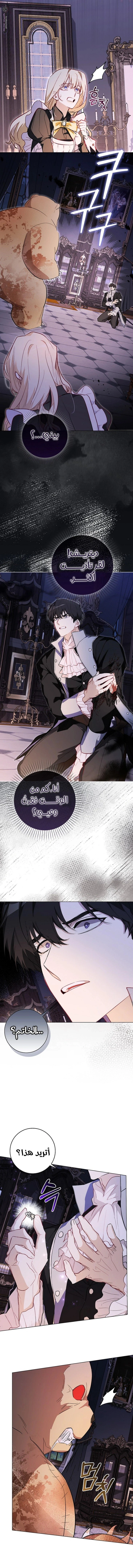 الصفحة 16