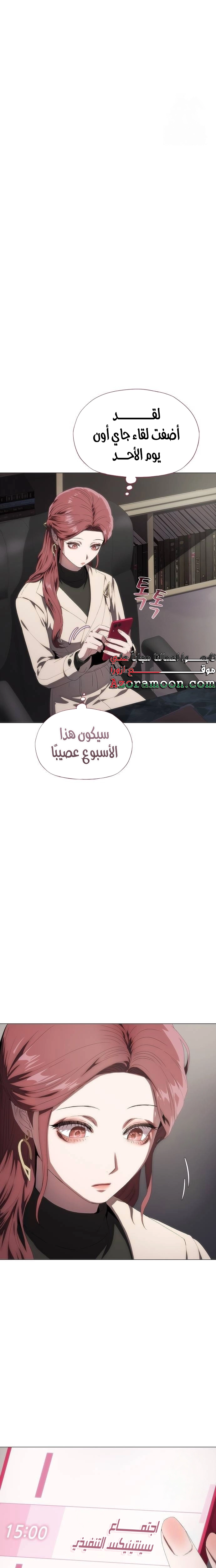 الصفحة 13