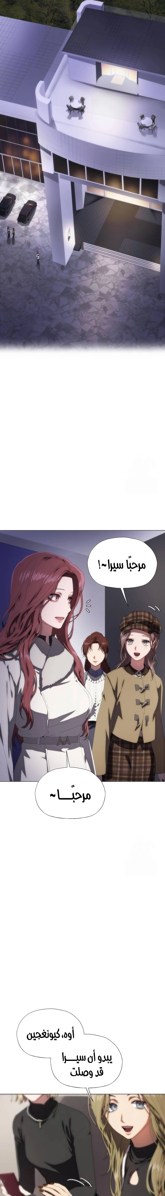 الصفحة 17