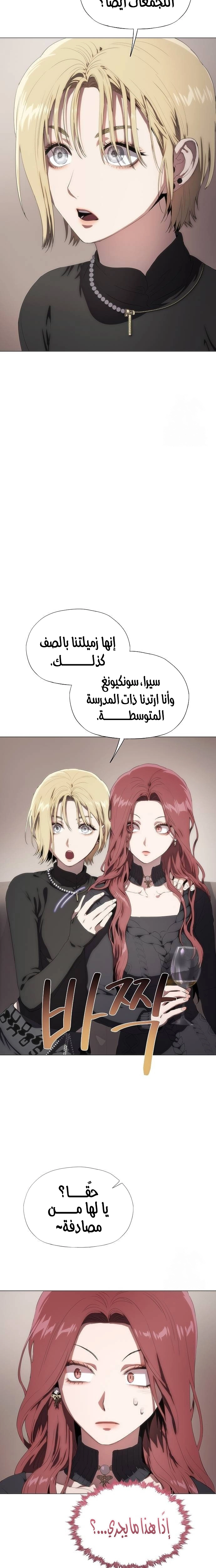 الصفحة 29