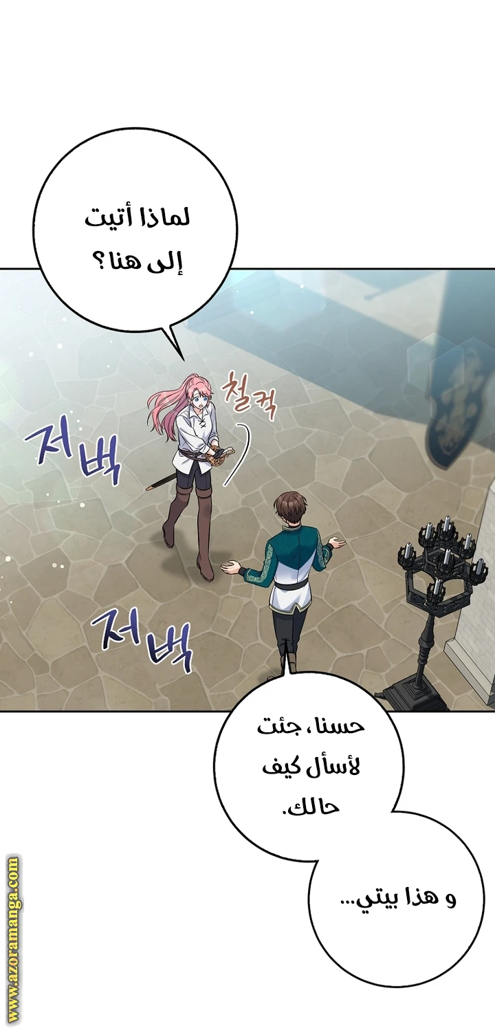 الصفحة 27