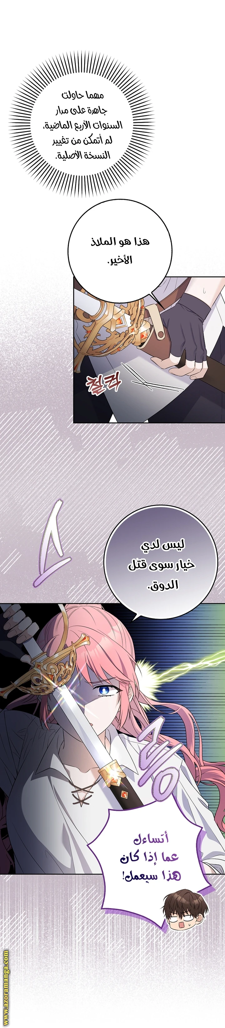 الصفحة 29