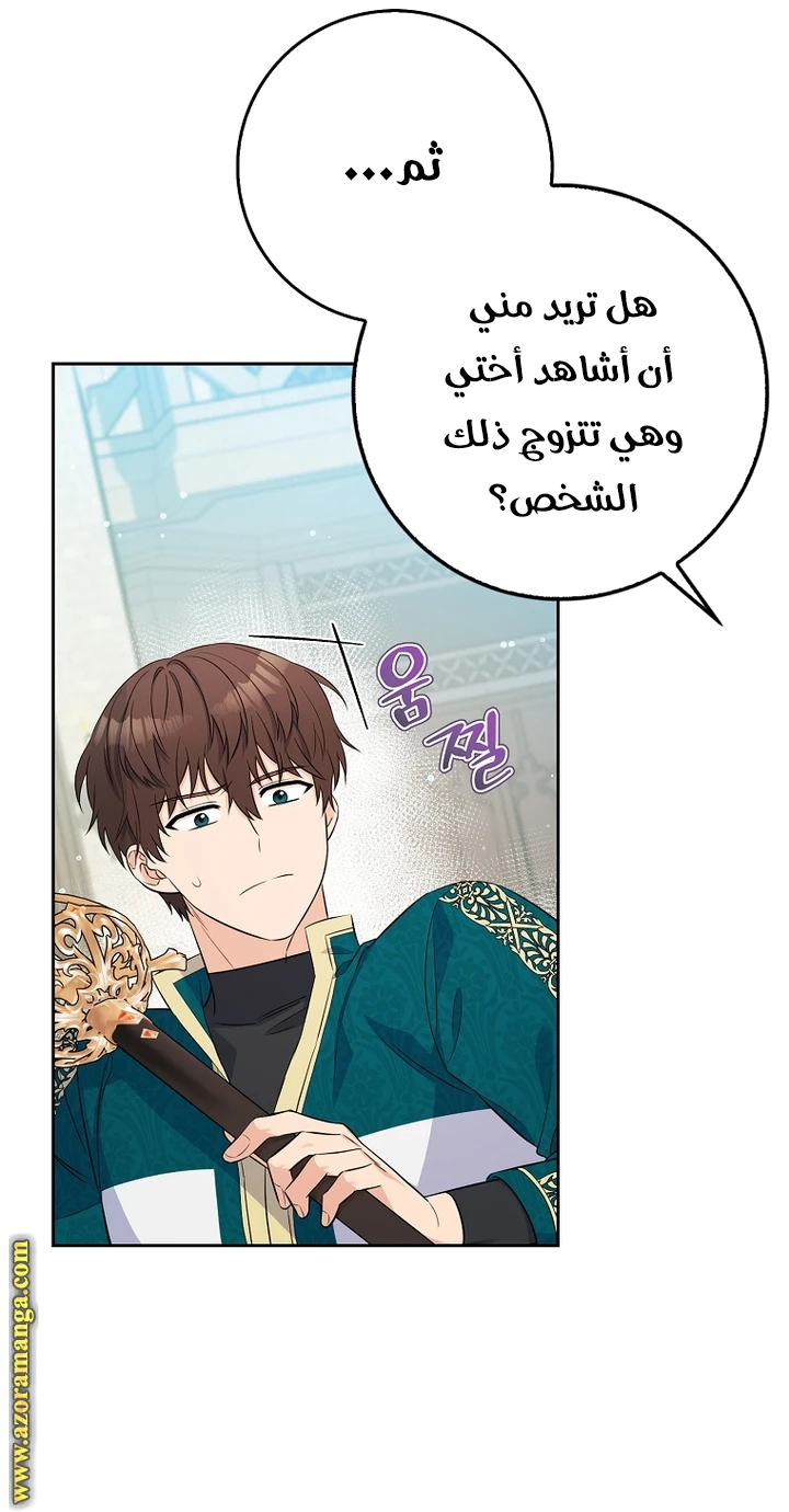 الصفحة 31