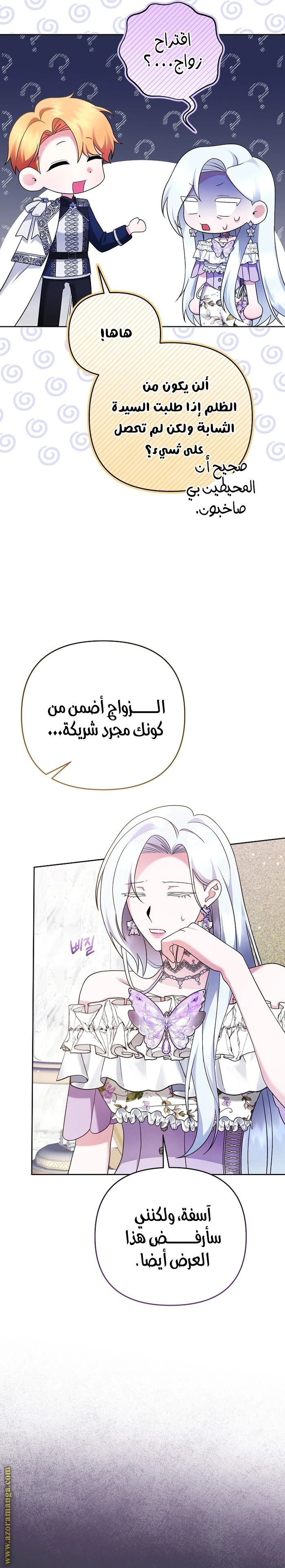 الصفحة 17