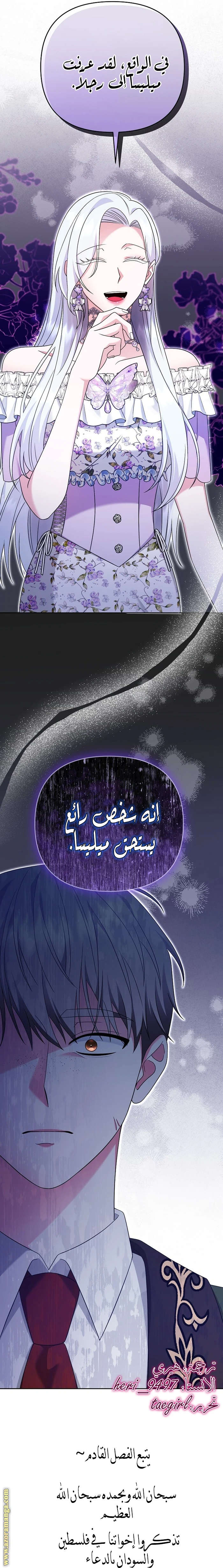 الصفحة 29