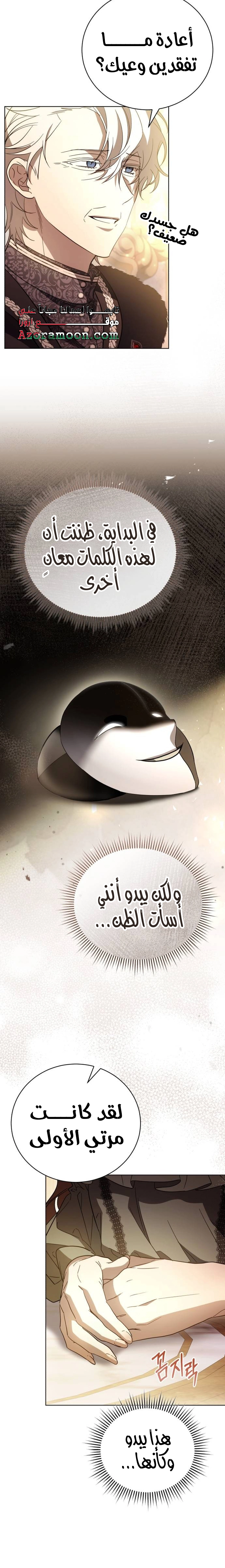 الصفحة 17
