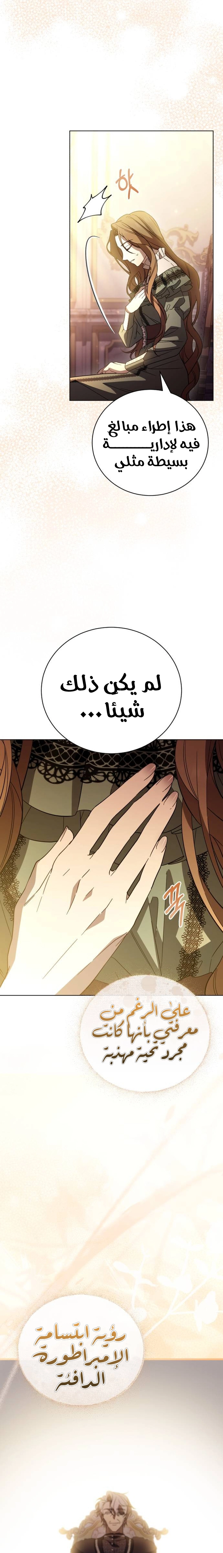 الصفحة 20