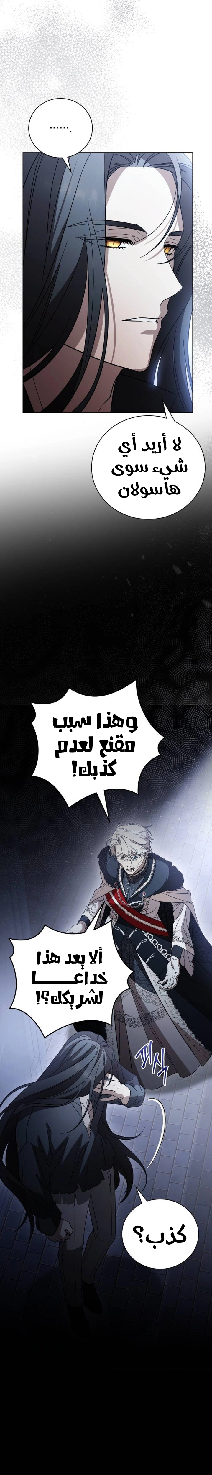 الصفحة 26