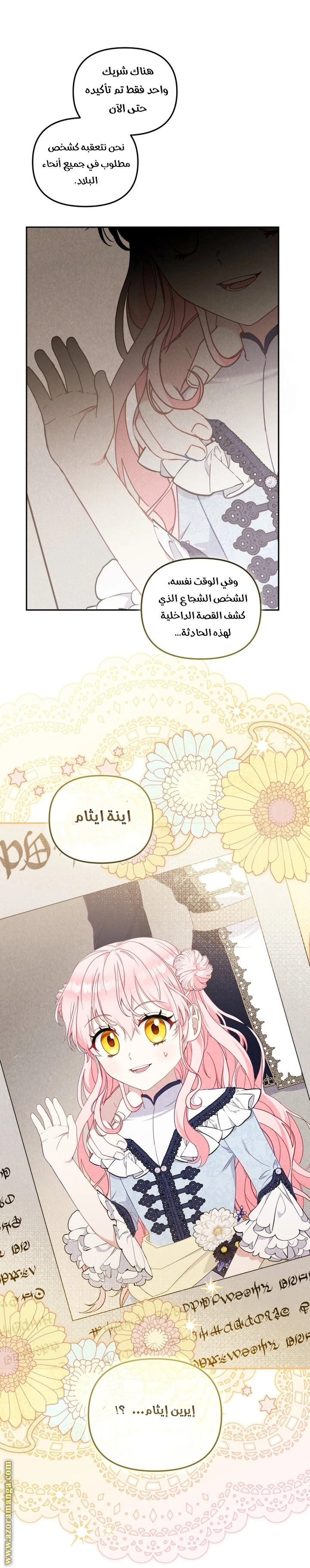 الصفحة 29