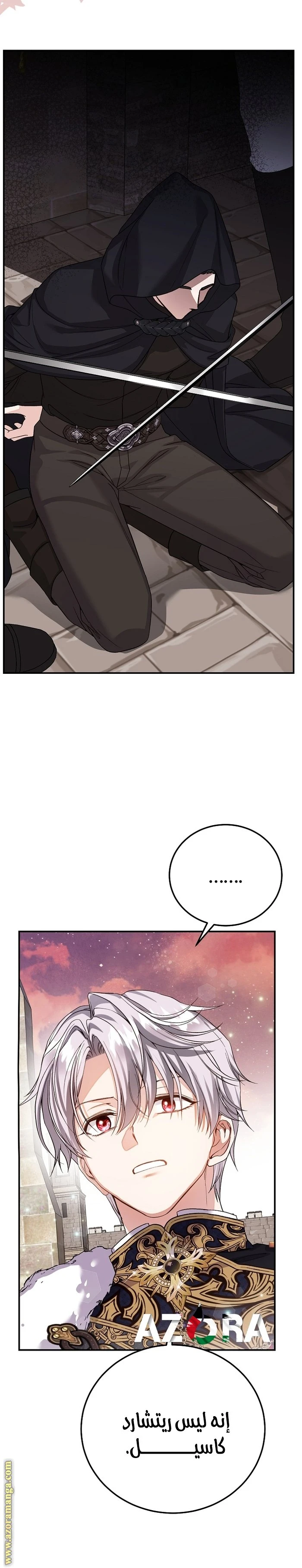 الصفحة 19