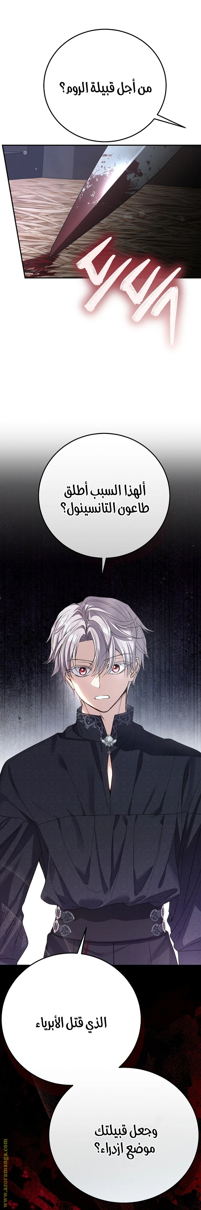 الصفحة 27