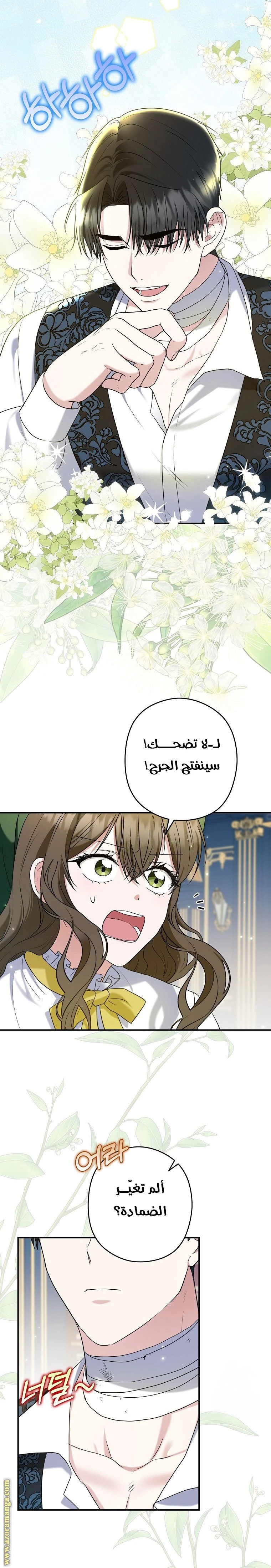 الصفحة 14