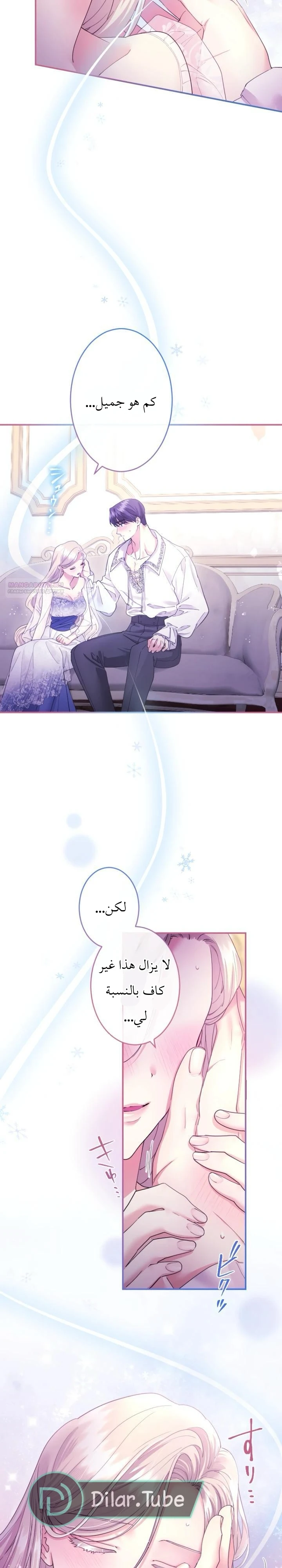 الصفحة 20