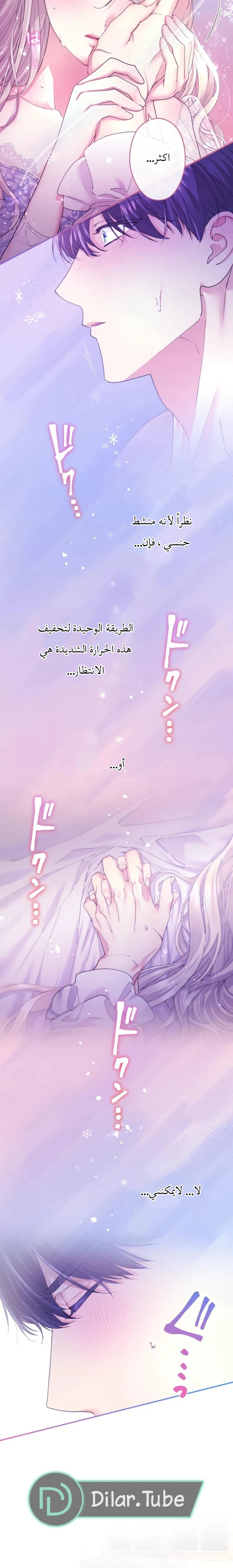 الصفحة 21