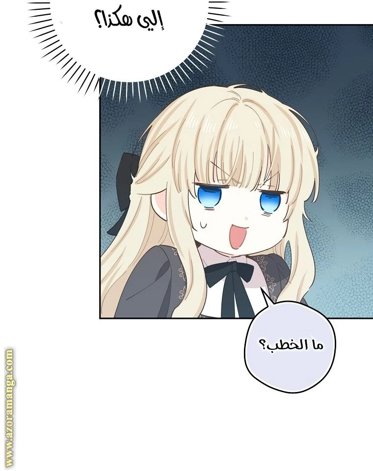 الصفحة 29