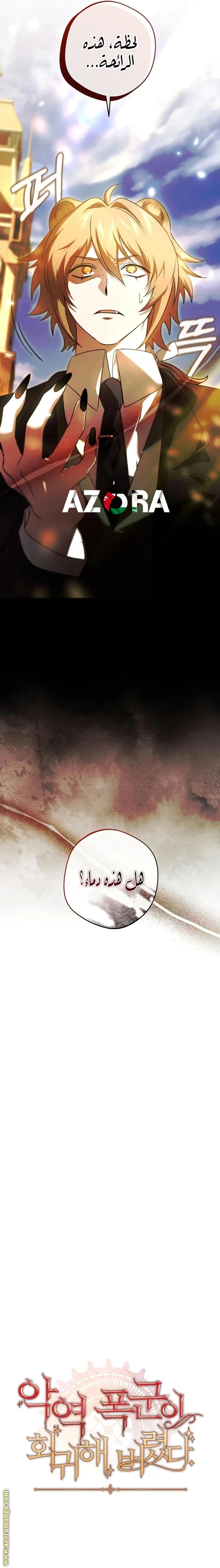 الصفحة 13