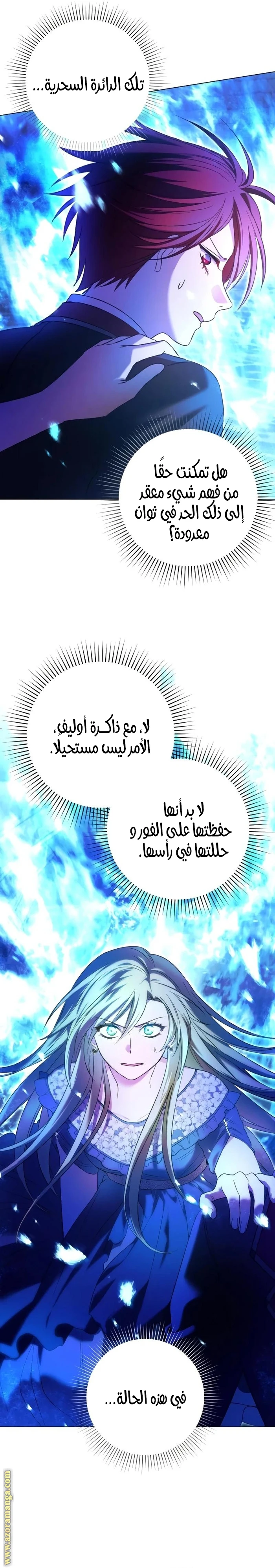 الصفحة 17