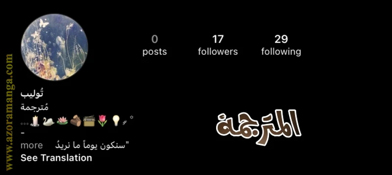 الصفحة 32