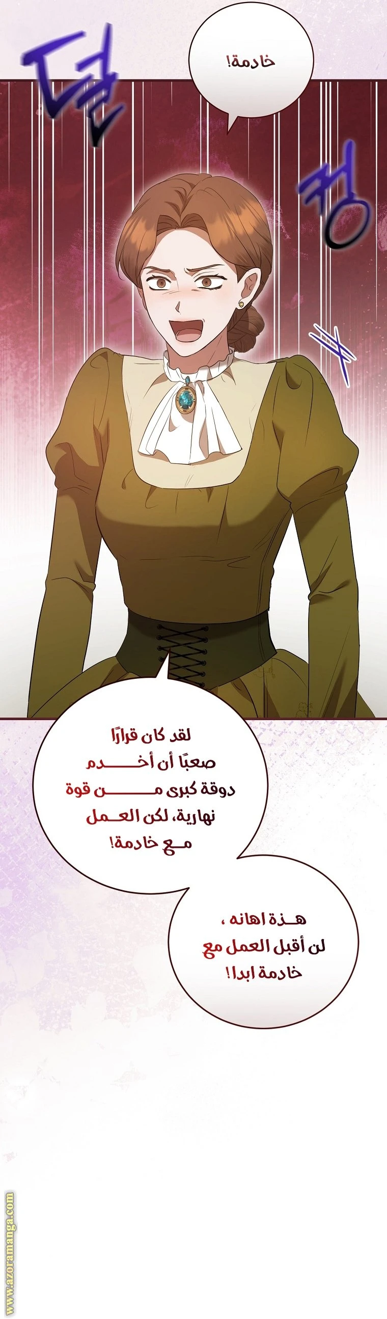 الصفحة 13