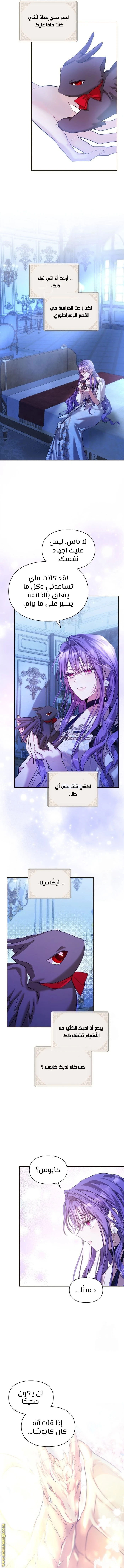 الصفحة 10