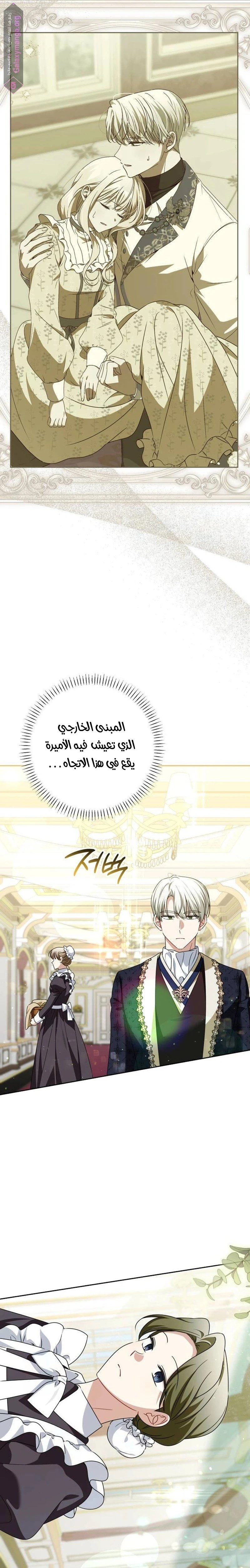 الصفحة 17