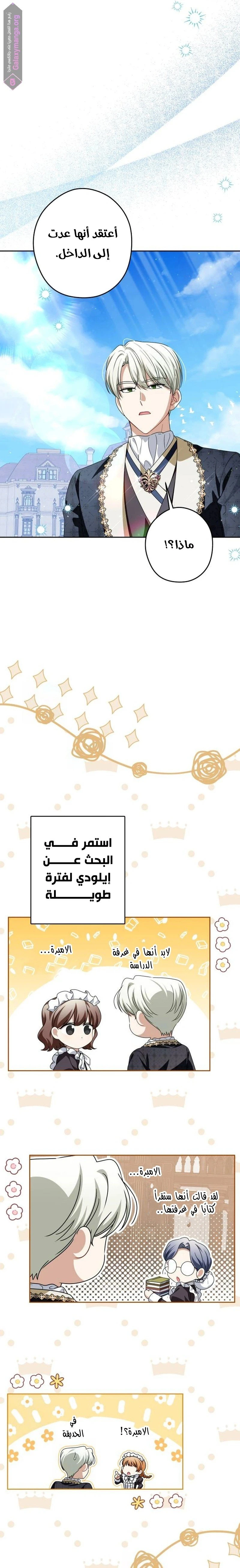 الصفحة 20