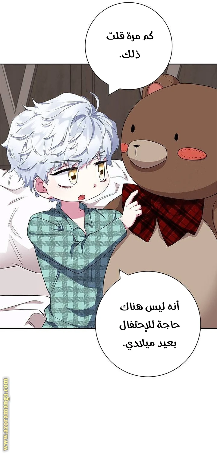 الصفحة 17