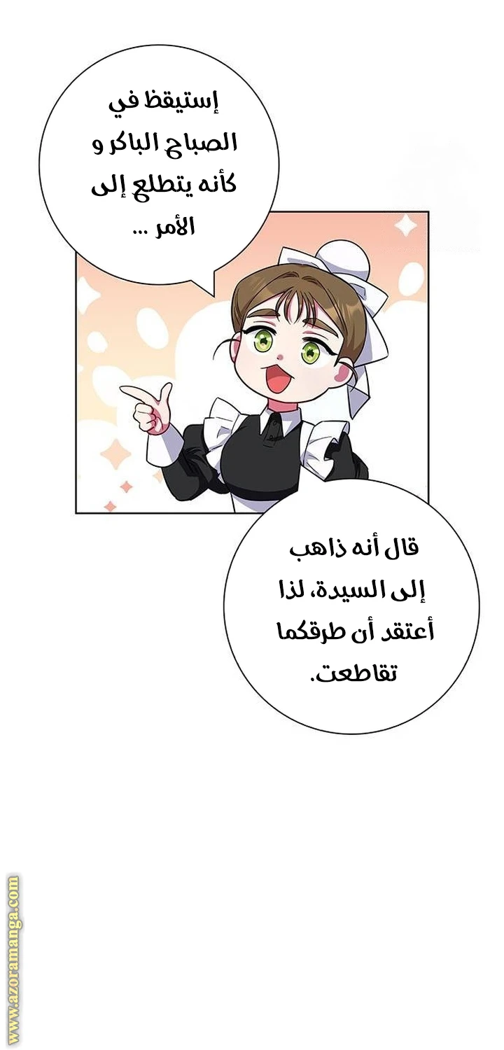 الصفحة 43